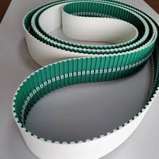 Accessories & Special Belts 