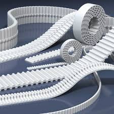 Accessories & Special Belts 